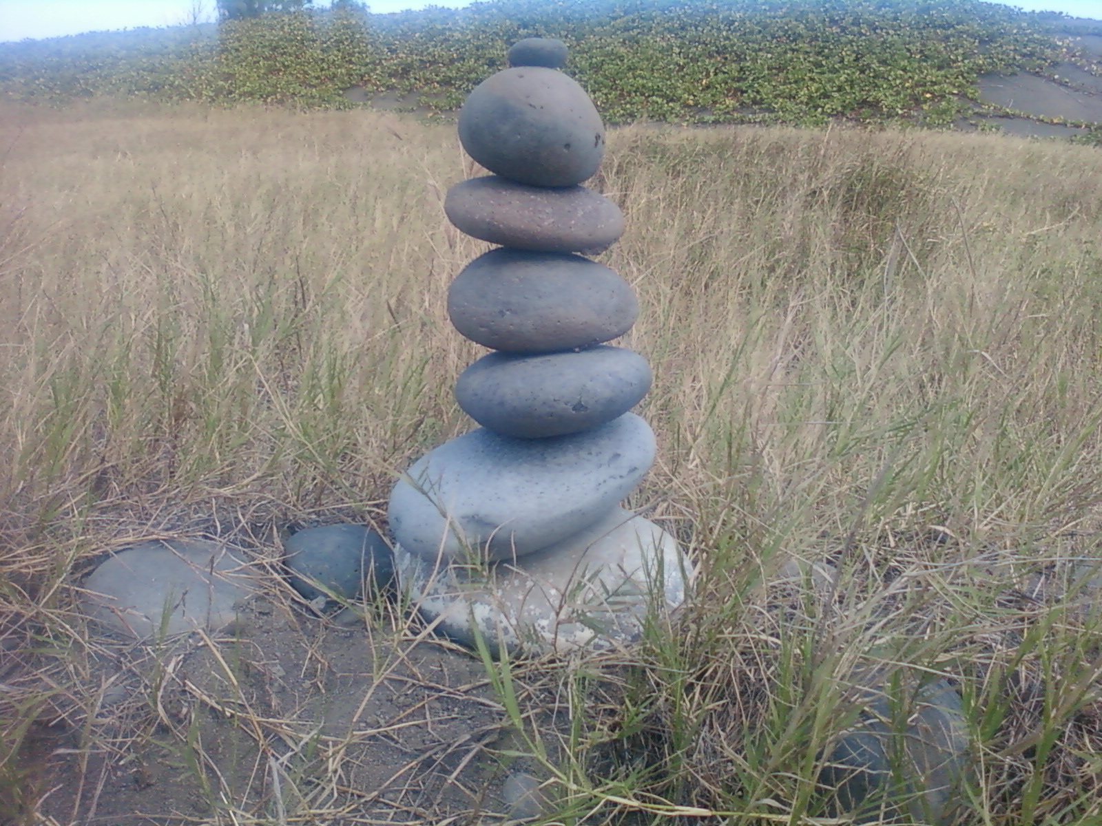 Chargé (e) d'Accueil et d'Hôte (sse) d'Accueil